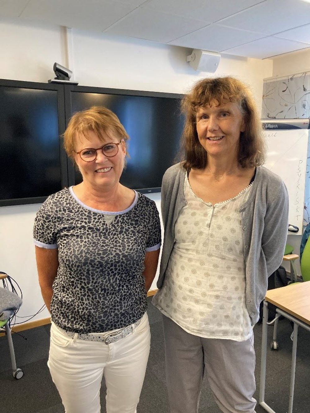 Instruktörer Första hjälpen till psykisk hälsa