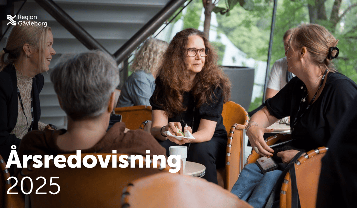 skärmdump årsredovisning 2025