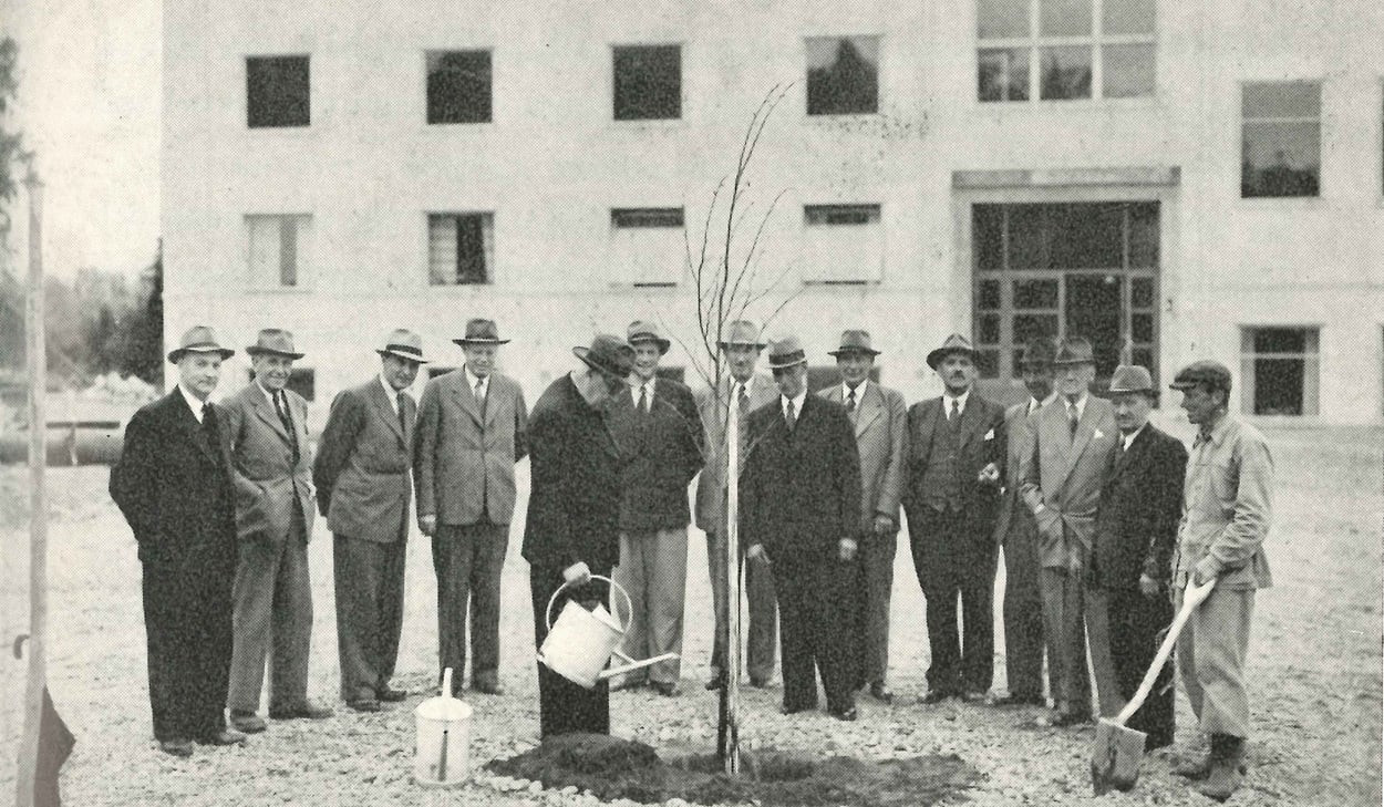 Foto på ordförande Lindley som planterar vårdträd vid nyuppförda Skogs- och lantmannaskolan - Nytorp - 31 maj 1946. 