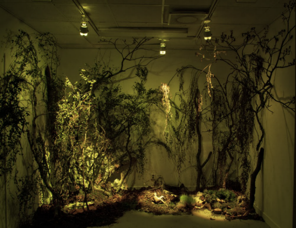 Inomhusskog Lova Delfin