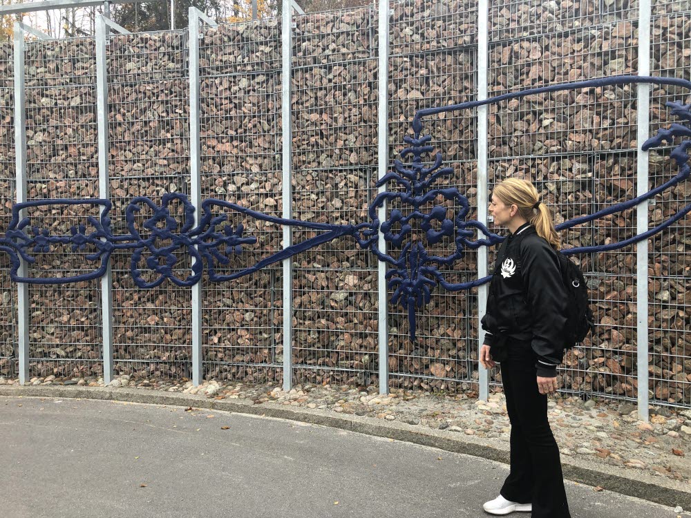 På gabionmuren under hus 11 sitter Festen, ett verk av konstnären Linda Bäckström. I relief och metalliska former väver hon samman Hälsinglands landskap, färgprakt och folkkonst till ett nutida uttryck med ett fokus på allt som finns att fira på ett sjukhus.