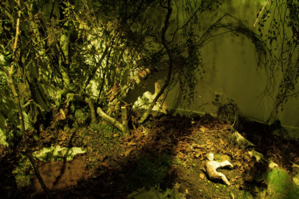 Inomhusskog Lova Delfin